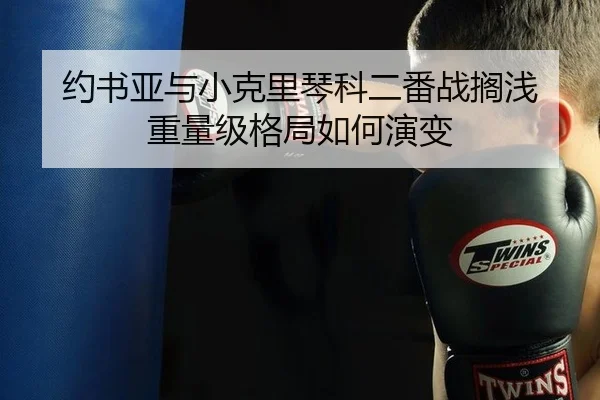 约书亚与小克里琴科二番战搁浅 重量级格局如何演变